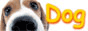  Dog in Thailand - �ٹ��������ѡ�عѢ㹻������